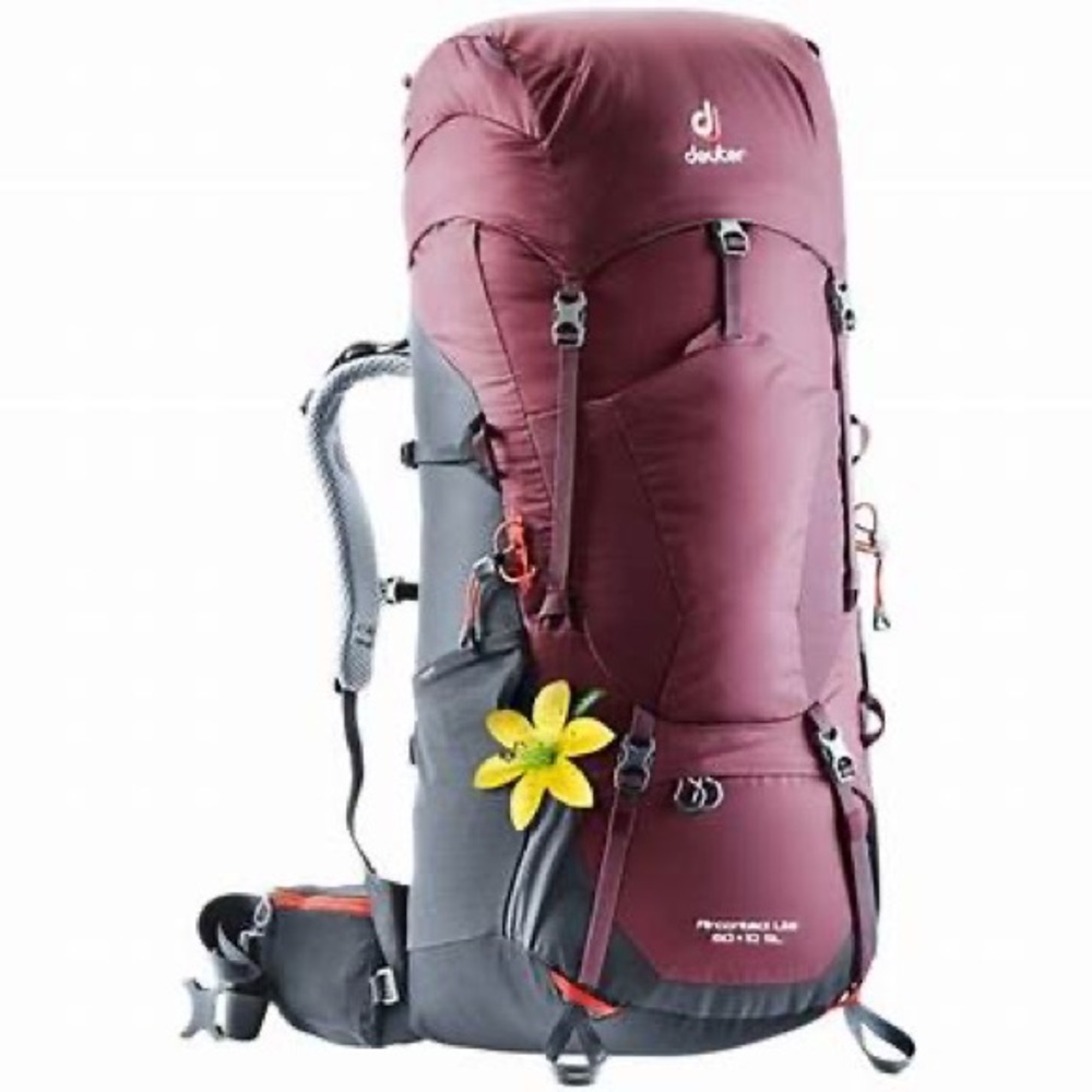 DEUTER Hiking Backpack